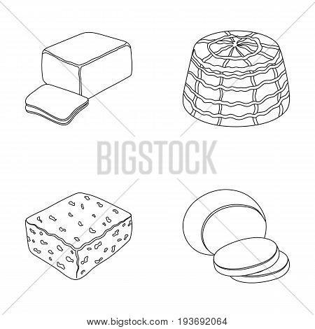 Mozzarella, feta, cheddar, ricotta.Different types of cheese set collection icons in outline style vector symbol stock illustration .