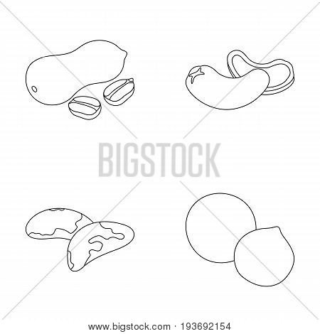 Peanuts, cashews, brazil nuts, macadamia.Different kinds of nuts set collection icons in outline style vector symbol stock illustration .