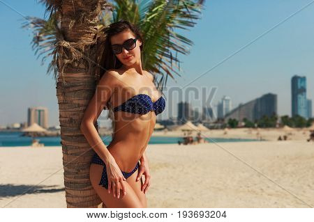 Sexy Beautiful Woman Relaxing And Sunbathing In Bikini On Sea Background And Palm Tree. Panoramic Vi