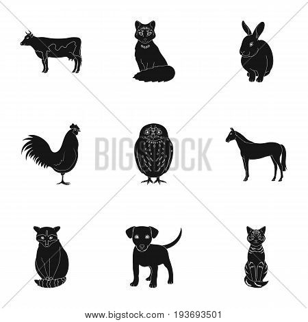 Deer, tiger, cow, cat, rooster, owl and other animal species.Animals set collection icons in black style vector symbol stock illustration .