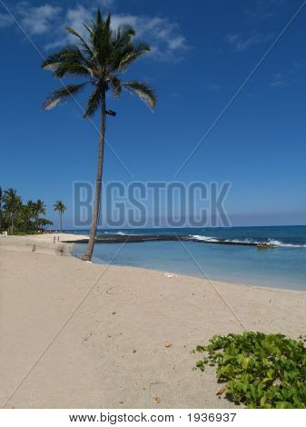Hawaii Beach