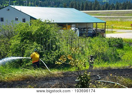 KALISPELL, MONTANA, USA - June 21, 2017: Firefighter rolling up hose in the front yard of a home threatened by a contained grass fire