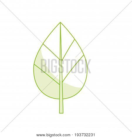 silhouette natural leaf botany of tropical plant vector illustration