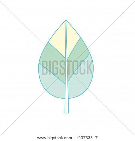 natural leaf botany of tropical plant vector illustration
