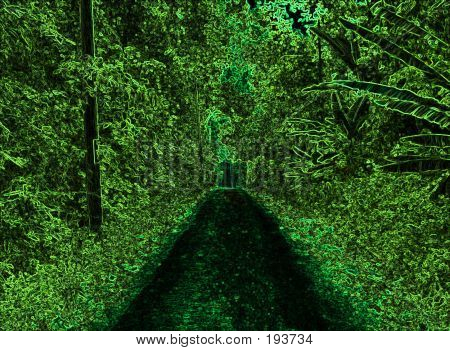 Skizze - langer Weg nach vorn im Bush