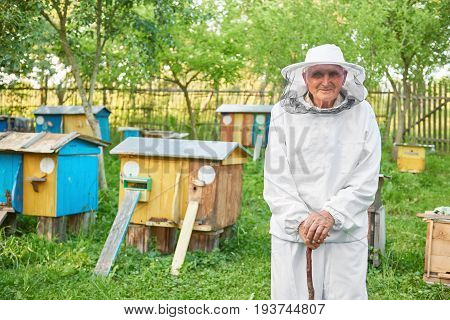 Shot of a cheerful senior beekeeper posing t his apiary copyspace beehives beekeeping apiculture profession experience concept.