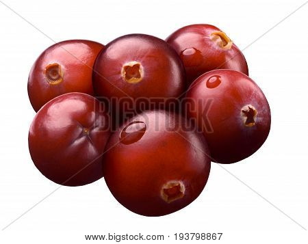 Six Wild Cranberries, Paths