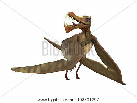 3D Rendering Pterodactyl Anhanguera On White