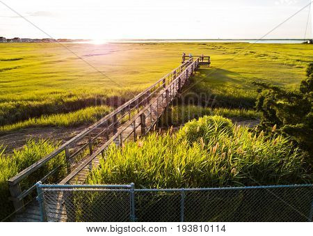Wooden Bridge Over A Swamp In Wildwood New Jersey