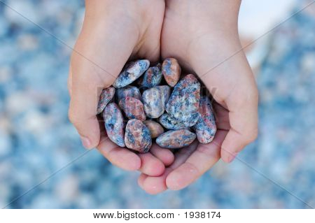 Le mani pieno di pietre di mare