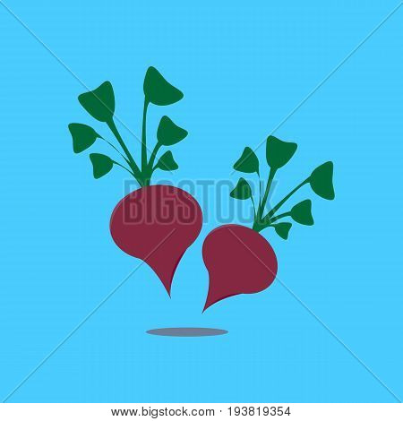 Beetroot vegetable logo icon template design. Purple beet icon logo. Fresh vegetarian concept. Health vegetarian logo isolated on pattern background. Cool simple flat design beetroot symbol.