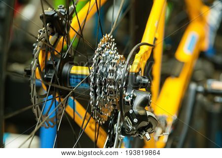Rear caliper of the bicycle with a set of stars and chain