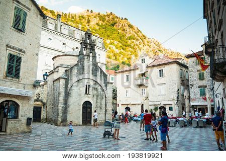 KOTOR, MONTENEGRO - 26.06.2017: The cat sitting on the square of the old town near the Church of Saint Luke, Kotor, Montenegro