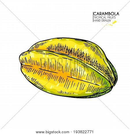 Vector hand drawn set of exotic fruits. Isolated whole carambola. Engraved colored art. Delicious tropical vegetarian objects. restaurant menu smoothie bowl party decoration meal