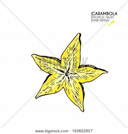 Vector hand drawn set of exotic fruits. Isolated carambola star slice. Engraved colored art. Delicious tropical vegetarian objects. restaurant menu smoothie bowl party decoration meal