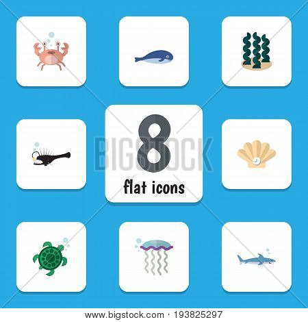 Flat Icon Sea Set Of Conch, Shark, Cachalot And Other Vector Objects. Also Includes Lobster, Melanocetus, Gray Elements.