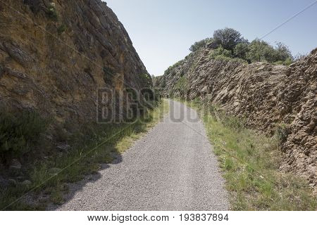 Green Way Black Eyes In Its Passage By Barracas In Castellon