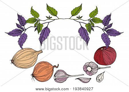 Frame vegetables greens isolated white background. Vector hand drawn illustration onion garlic basil.Art decorative card for adult and children. Coloring book page textile print poster design
