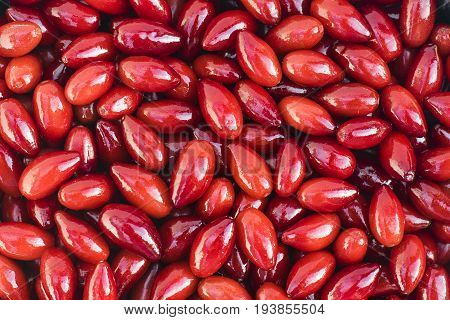 Photo Of A Red Dogwood Berry Pattern