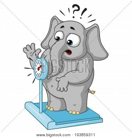Big collection vector cartoon characters of elephants on an isolated background. Weighed on the scales