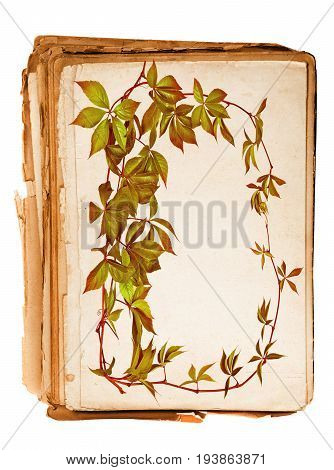 old book - old paper texture in detail