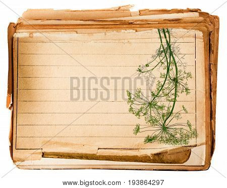 old page from old book with dill