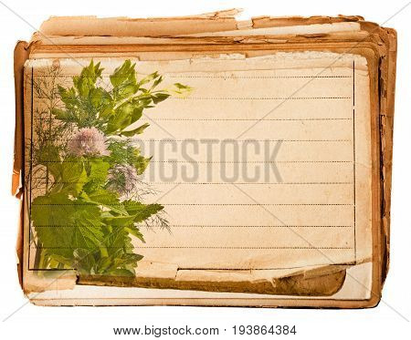 old page from old book with herbs