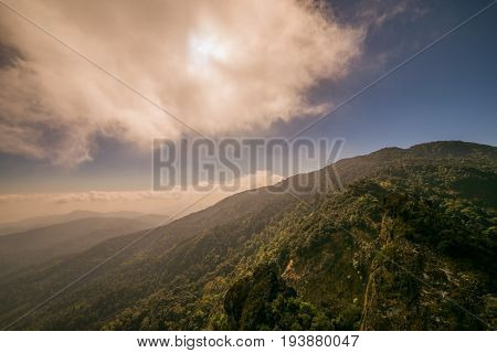 The Spectacular jungle landscape with mountain range
