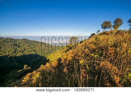 Spectacular jungle landscape with the mountain range