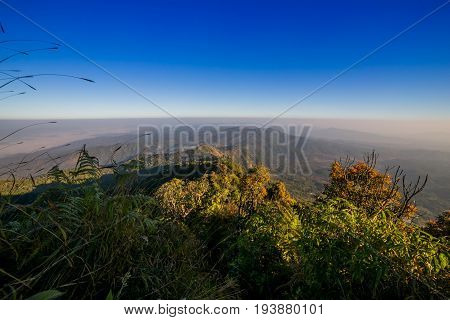 Spectacular jungle landscape with the mountain range