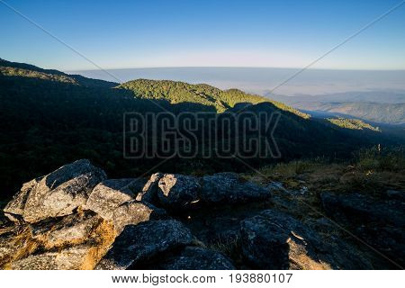 Spectacular jungle landscape with the mountain range