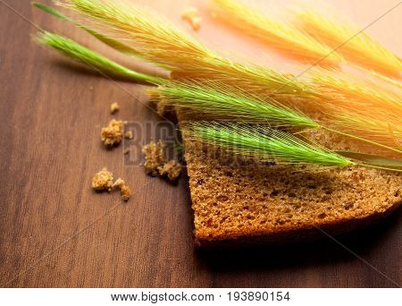 Fresh green wheat with a slice of bread on a wooden background