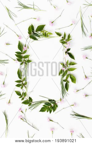 Flowers composition. Frame made of pink carnation flowers and needle-shaped and big astilba green leaves on white background. Flat lay top view.