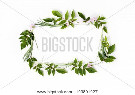 Flowers composition. Frame made of pink carnation flowers and needle-shaped and big astilba green leaves on white background. Flat lay top view.