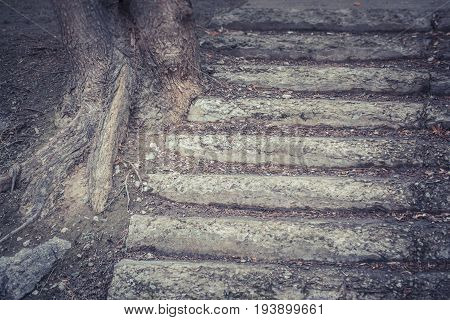 Dark Old stone concrete shabby steps close-up