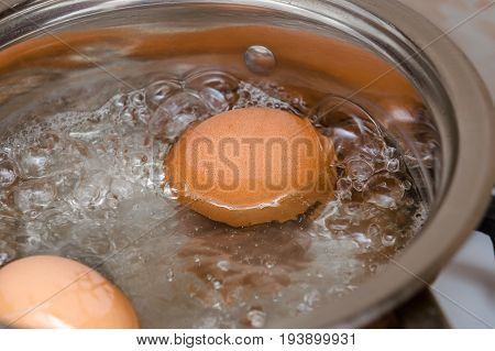 Boiled eggs in a small saucepan closeup.