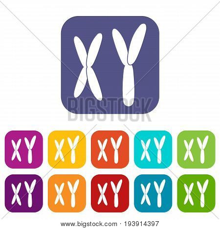 Human chromosomes icons set vector illustration in flat style In colors red, blue, green and other