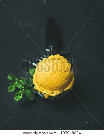 Mango sorbet ice cream scoop in ice cream scooper with fresh mint over black wooden background. Clean eating, healthy, vegetarian, weight loss, alkaline diet food concept