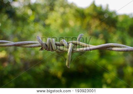 Barbed wire on fence to feel worrying.
