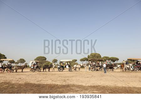 El Rocio Spain - June 1 2017: Pilgrims procession with horse-drawn carriages on the road to El Rocio during the Romeria 2017. Province of Huelva Almonte Andalusia Spain