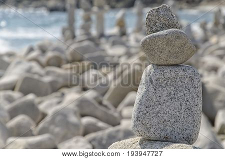Practical example of inner balance in nature