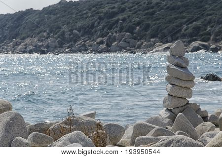 Practical example of harmonious balance in nature