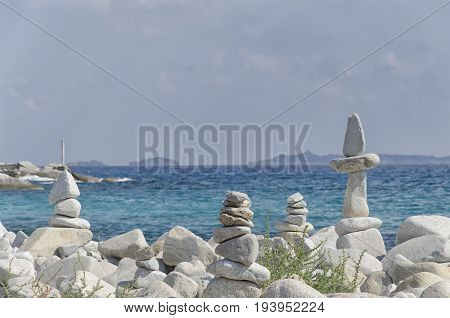 Practical example of harmonious equilibrium in nature