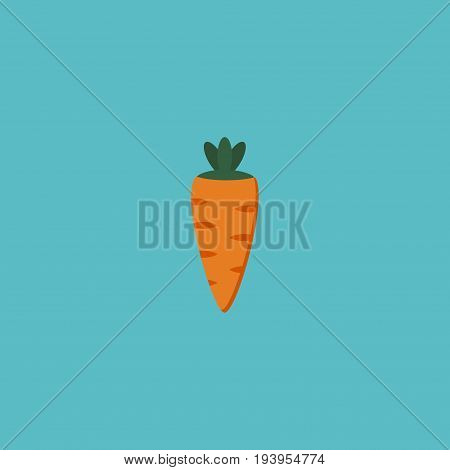 Flat Icon Carrot Element. Vector Illustration Of Flat Icon Root Isolated On Clean Background. Can Be Used As Rooty, Carrot And Eat Symbols.