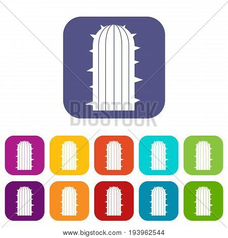 Plant of desert icons set vector illustration in flat style In colors red, blue, green and other