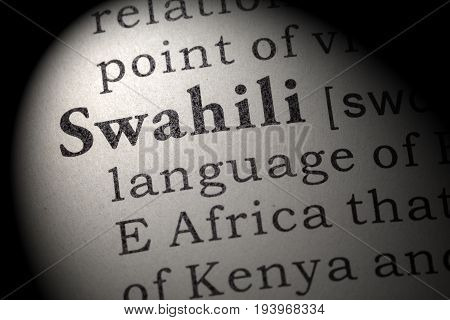 Fake Dictionary Dictionary definition of the word Swahili. including key descriptive words.