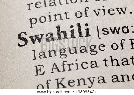 Fake Dictionary Dictionary definition of the word Swahili. including key descriptive words.
