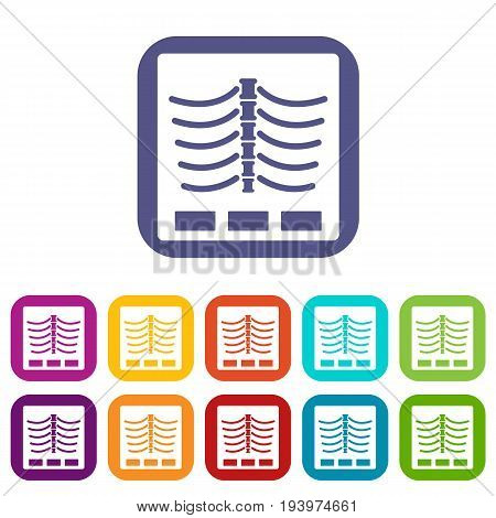 X ray photo icons set vector illustration in flat style In colors red, blue, green and other