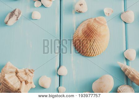 Seashells, corals on blue wood, sea vacation background with copy space on wooden planks