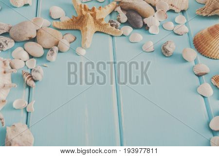 Seashells on blue wood, sea vacation background top view with copy space on wooden planks